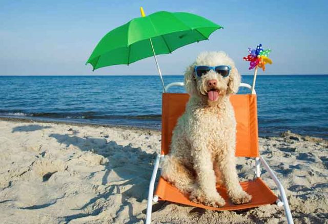 Vacances, ça rime avec plage : mer bleue et sable chaud attirent 52% des vacanciers