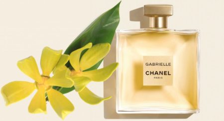 L'ylang-ylang de Madagascar produit des essences très sollicitées dans le domaine de la parfumerie, il a notamment servi pour le parfum Gabrielle de Chanel